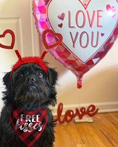 Sevgililer Günü Köpek Kostümü, Kırmızı Kalp Bandı ve Bufalo Ekose Pet Bandana