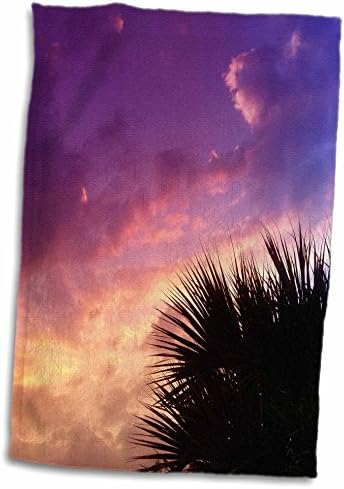 3dRose Florene Tropical Sunset-Gösteri Yapmak-Havlular (twl-8651-1)
