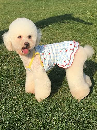 QWİNEE Meyve Şemsiye Baskı Köpek Elbise fırfır etekli Kayış Köpek Prenses Elbiseler Köpek Tutu Etek Tatil Parti Kostüm Küçük