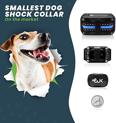 Wiggle Kingdom-Ses, Titreşim ve Şoka Sahip Küçük Köpekler için Dünyanın En Küçük Şok Tasması (Kömür Grisi)