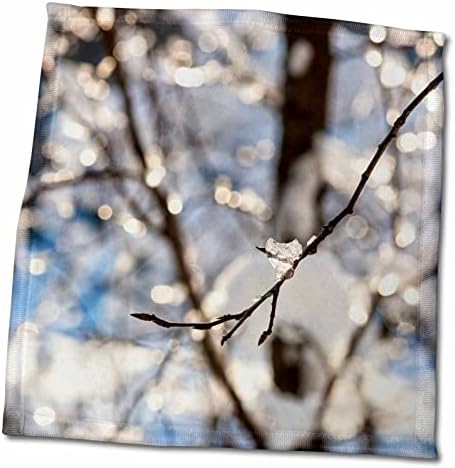 3bir huş ağacı dalına küçük bir buz bloğu damlatın. Güneşli neşeli fon-Havlular (twl-280928-3)