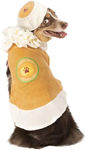 Rubie'nin Balkabağı Baharatlı Latte Evcil Hayvan Kostümü, Büyük
