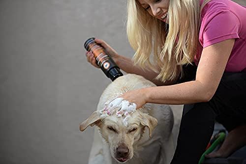 Petology Yulaf Ezmesi Bal Yatıştırıcı Köpek Kremi, Galon Kolloidal Yulaf Ezmesi ve Bal İnfüze Edilir, Evcil Hayvan Kokularını
