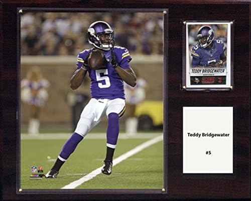 NFL Minnesota Vikings Teddy Bridgewater Oyuncu Plaketi, 12 x 15 inç