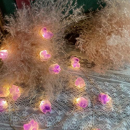 Hakiki Ametist Kristal Dekoratif ışıklar Sevimli Peri Dize ışıklar 10ft 30 Yatak Odası için Uzaktan Kumandalı Doğal Taşlar