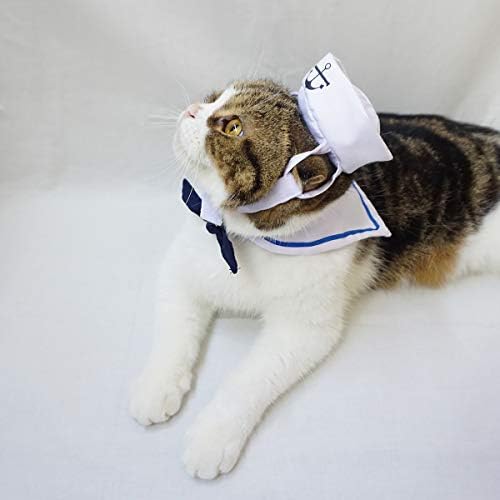 Lesypet Kedi Şapka Cadılar Bayramı Kostüm, 2 Paket Kedi Denizci Şapka ile Kravat Kedi Cadılar Bayramı Kostüm için Küçük Köpek