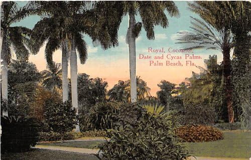 Palm Beach, Florida Kartpostalı