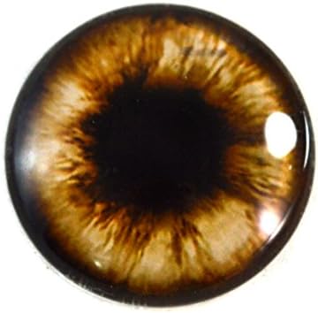 tahnitçilik Heykeller veya Takı Yapımı El Sanatları için 25mm tek Kahverengi ayıcık Cam Göz